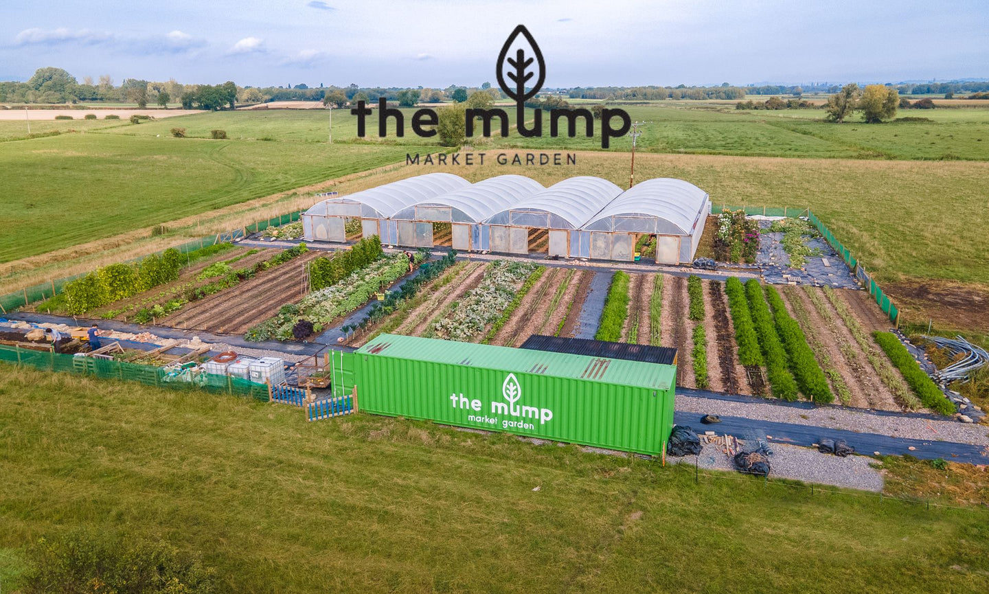 The Mump Market Gardens  Veg Box Delivered Weekly To The Local Area.