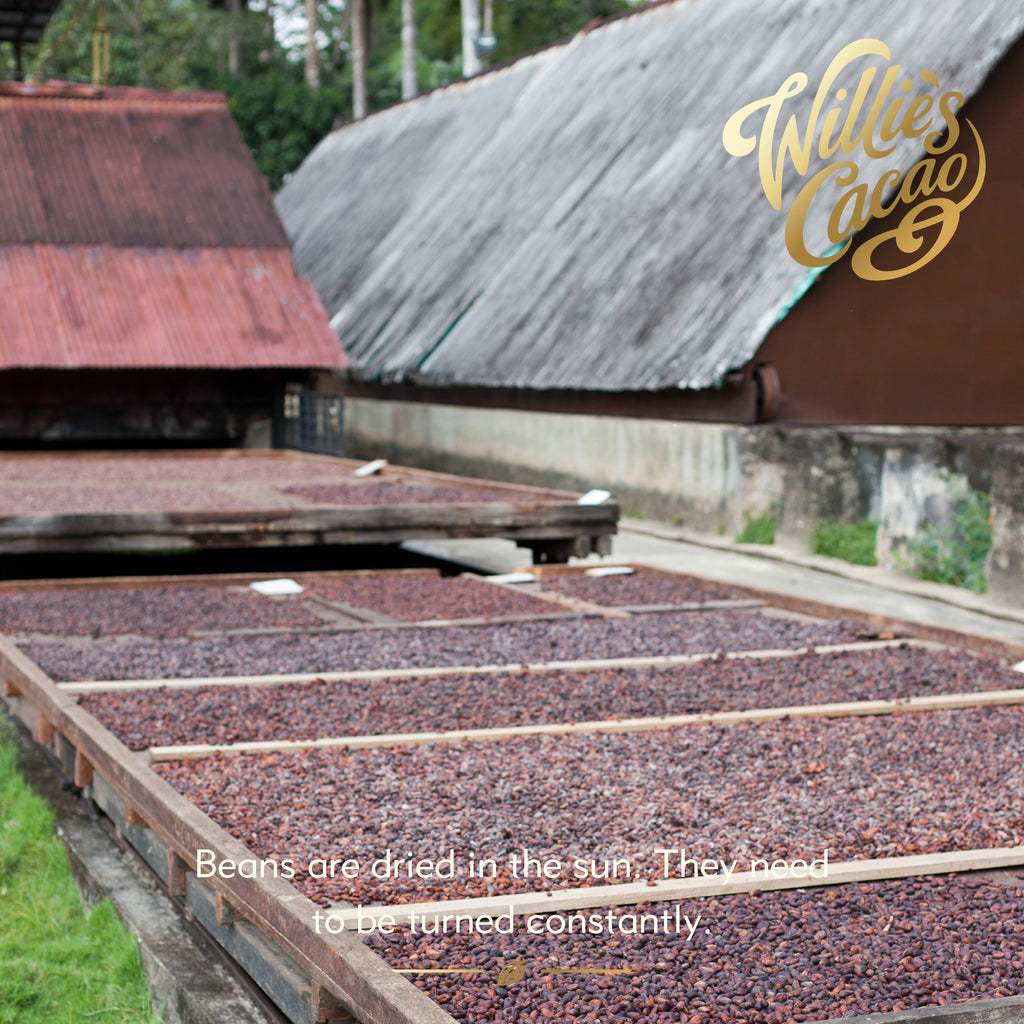 100% Chulucanas Cacao. Notes of raisins & plums. Vegan. 180g