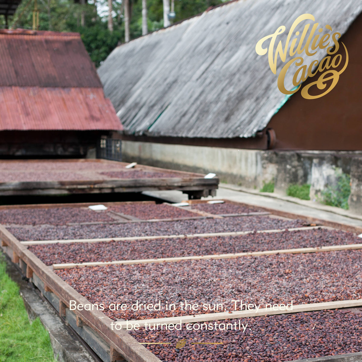 100% Chulucanas Cacao. Notes of raisins & plums. Vegan. 180g