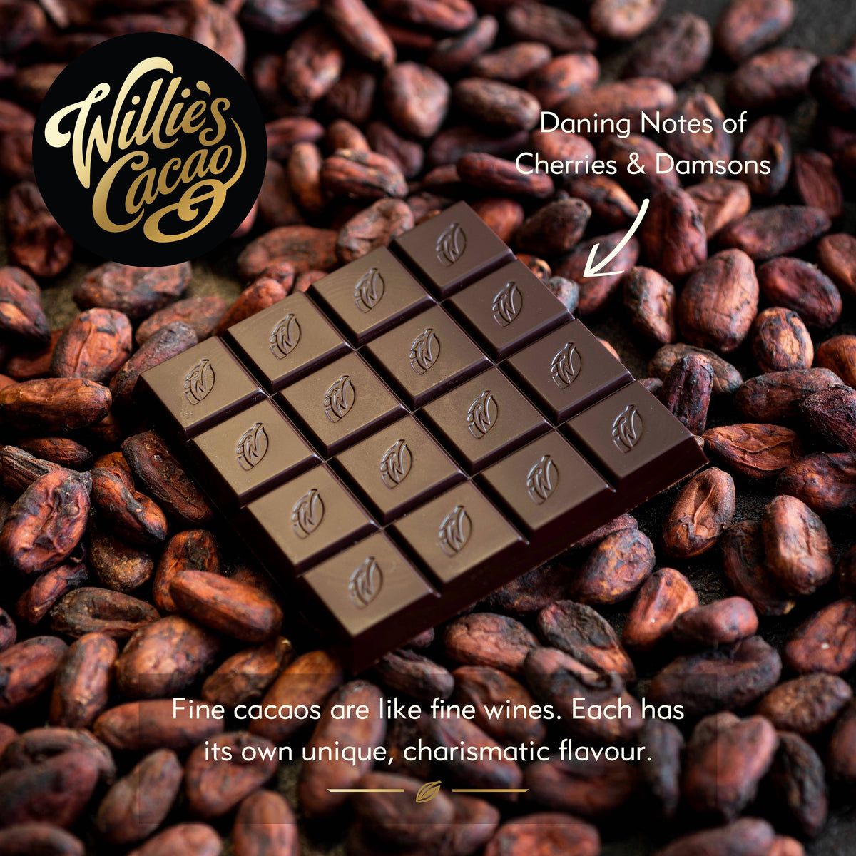 San Augustin 88% dark chocolate. Red fruit notes. Vegan. 50g