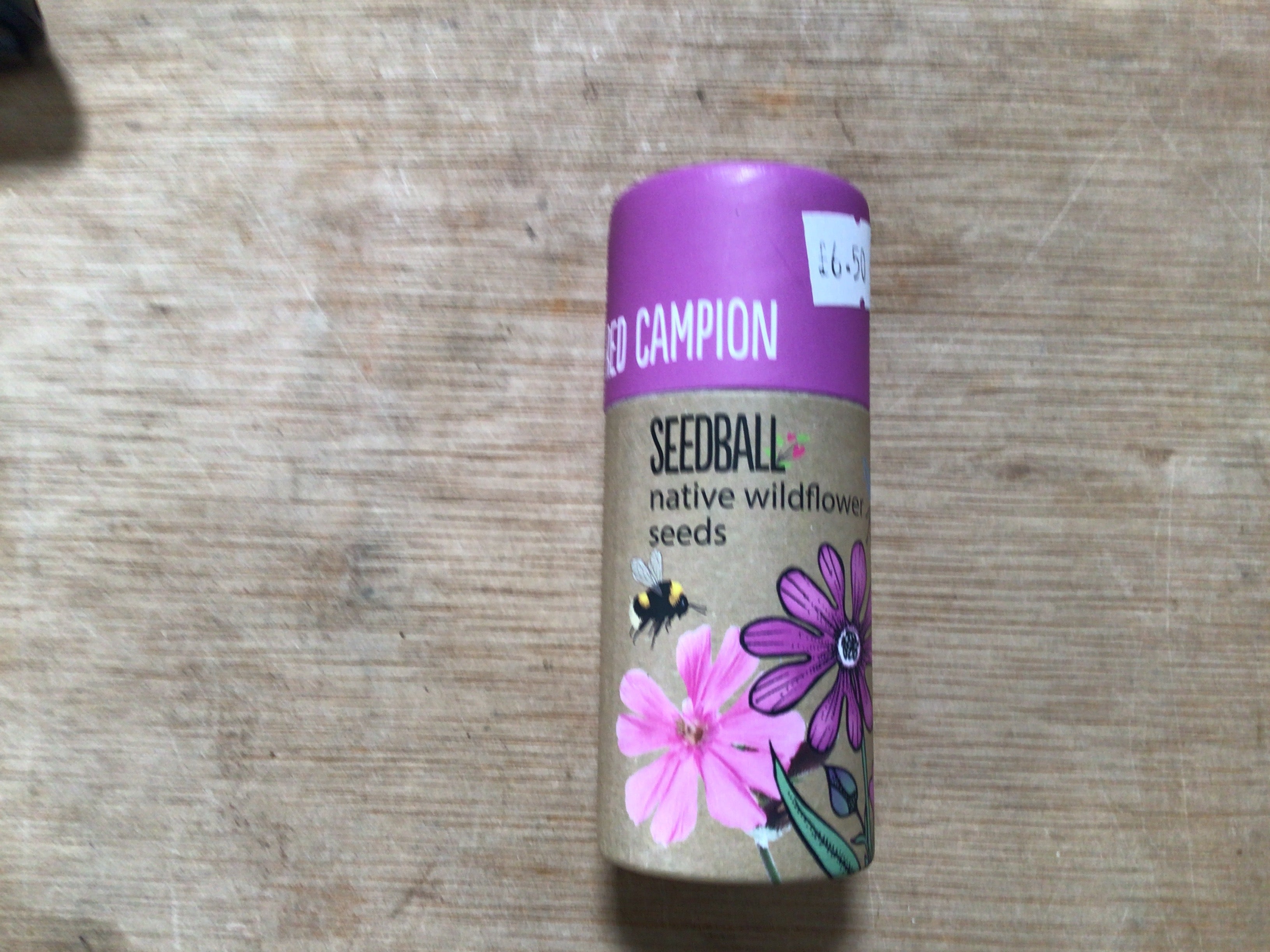 Red campion seedball
