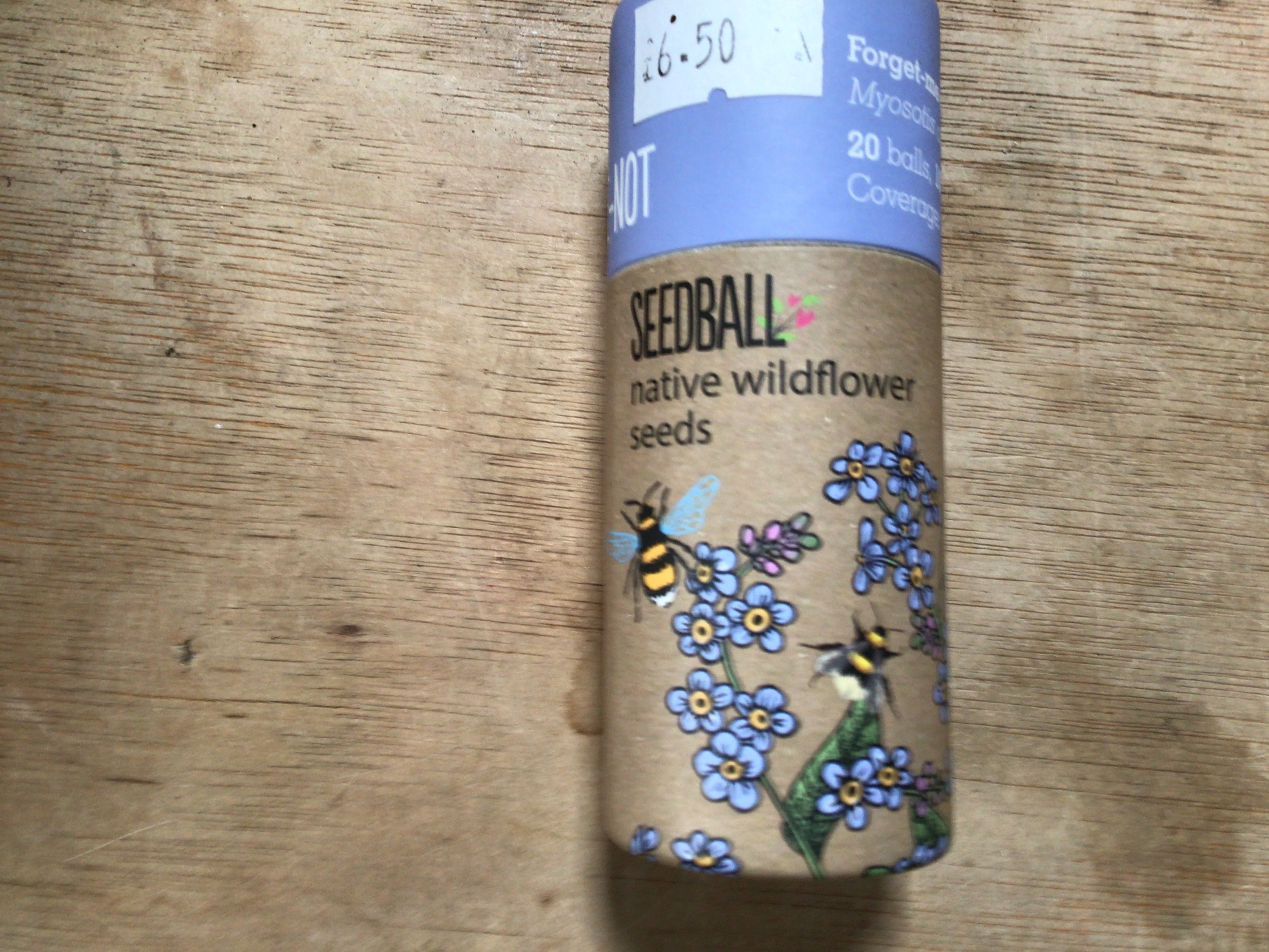 Forget-me-not seedball