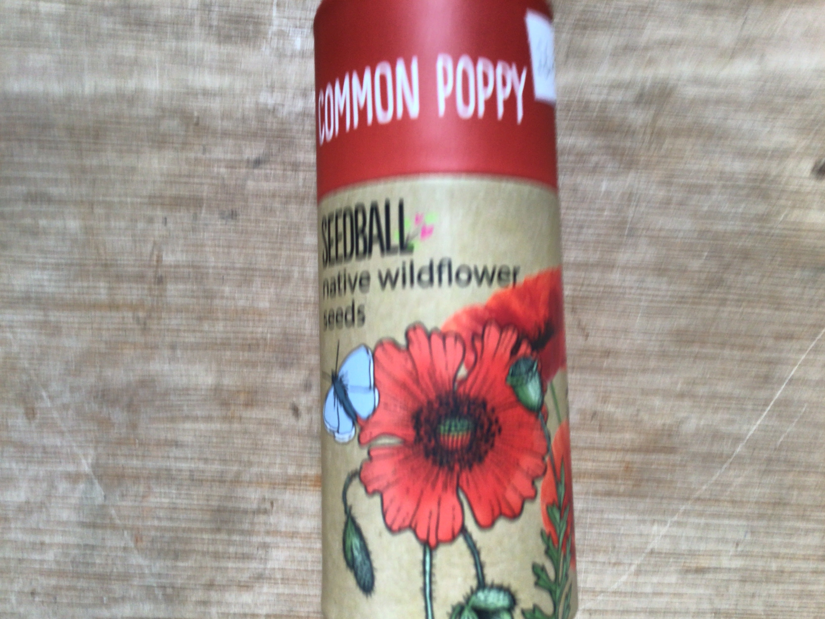 Common poppy
