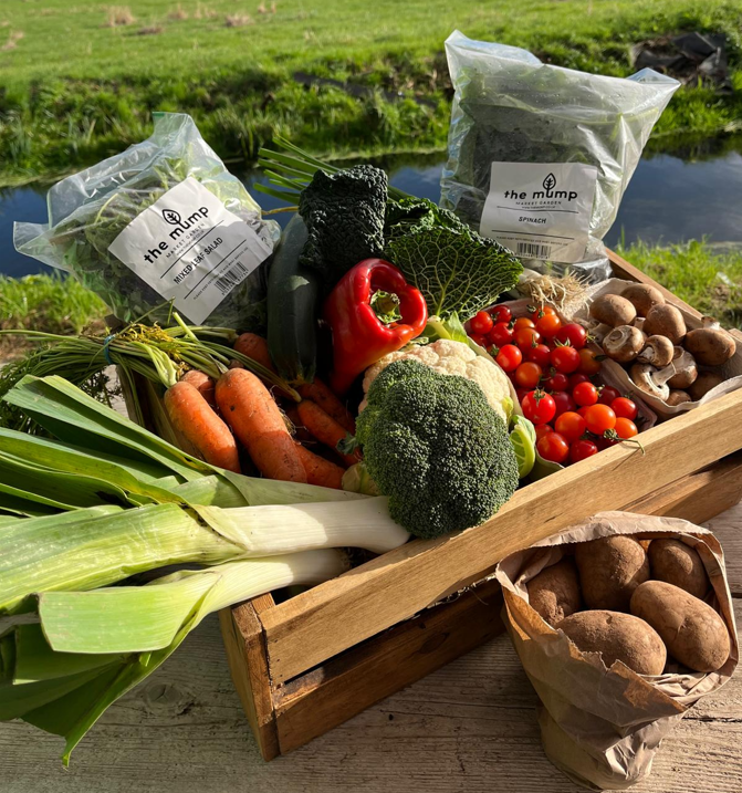 Large Veg Box