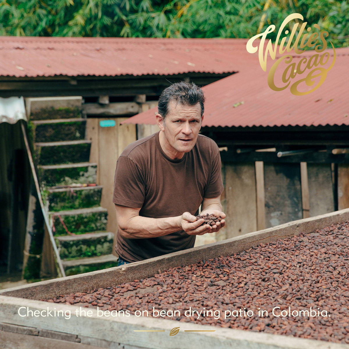 San Augustin 88% dark chocolate. Red fruit notes. Vegan. 50g